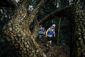 BIB: 
                            <button type="button" onclick="openModal(25700068)" class="btn btn-primary btn-sm float-right btn-popup" data-toggle="modal" data-target=".modal-high-quality">
                        <i class="fas fa-shopping-cart"></i> Add to Cart
                    </button>
                                            <button type="button" onclick="isThisMe(25700068, true)" class="btn btn-success btn-sm float-right btn-popup btn-isme hidden" data-toggle="tooltip" data-placement="bottom" title="นี่คือรูปของคุณใช่ไหม คลิกที่นี่เพื่อเอาเข้าอัลบั้ม">
                        <i class="fas fa-plus"></i> Add to album
                    </button>
                    <button type="button" onclick="isThisMe(25700068, false)" class="btn btn-warning btn-sm float-right btn-popup btn-isnotme hidden">
                        <i class="fas fa-ban"></i> Remove from album
                    </button>